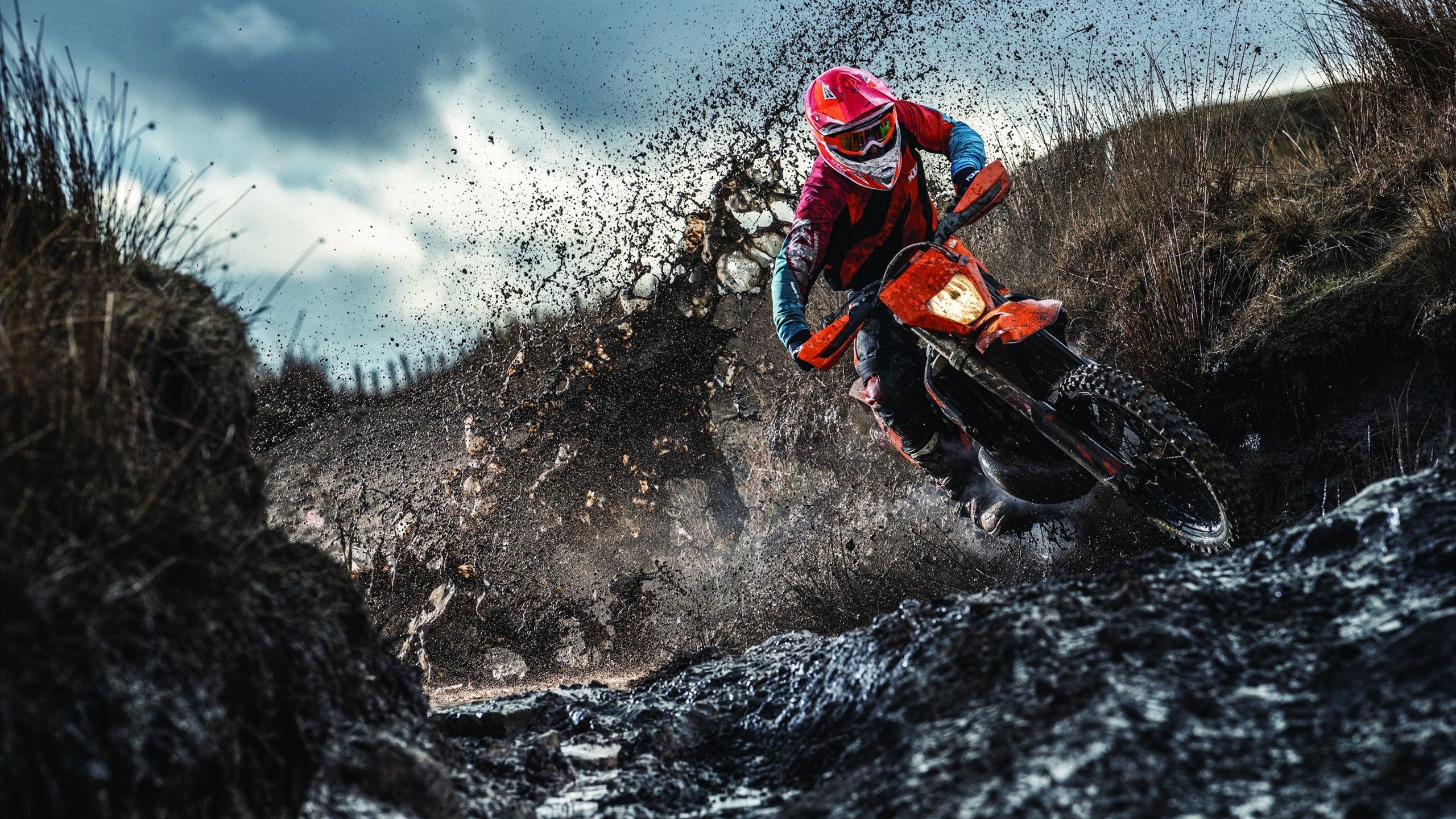 爵士队青训体系成熟，冲击更好排名，爵士队伍